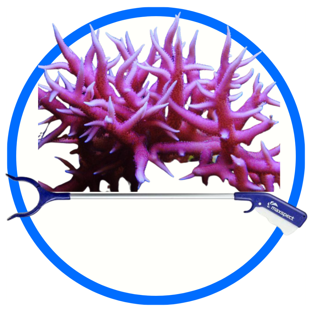 Accessori per frag